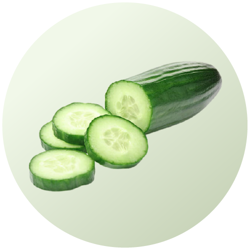 Cucumber